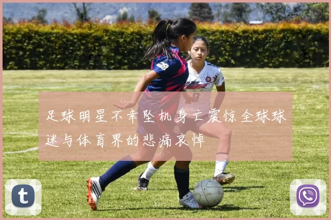 足球明星不幸坠机身亡震惊全球球迷与体育界的悲痛哀悼