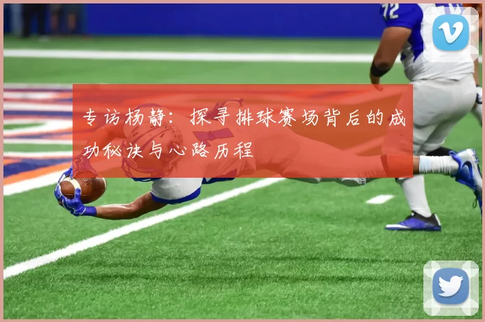 专访杨静：探寻排球赛场背后的成功秘诀与心路历程