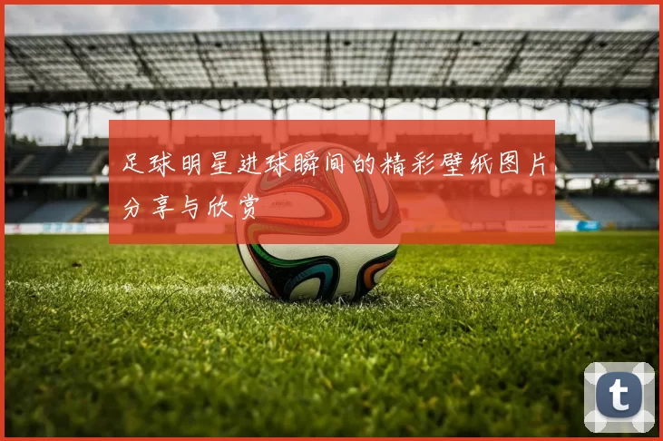 足球明星进球瞬间的精彩壁纸图片分享与欣赏