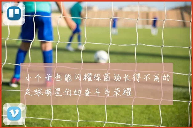 小个子也能闪耀绿茵场长得不高的足球明星们的奋斗与荣耀