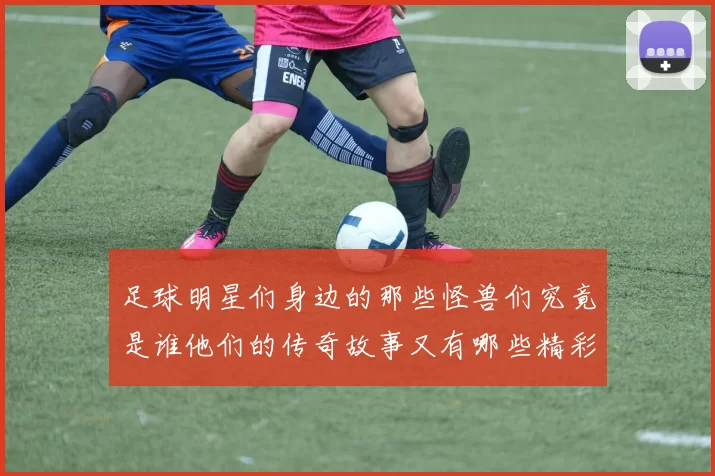足球明星们身边的那些怪兽们究竟是谁他们的传奇故事又有哪些精彩瞬间