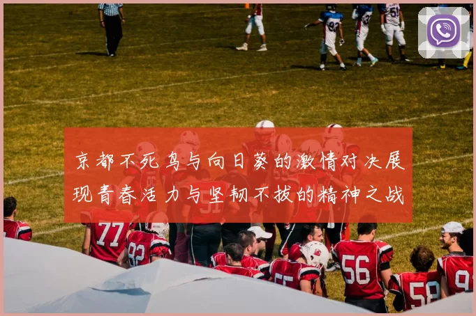 京都不死鸟与向日葵的激情对决展现青春活力与坚韧不拔的精神之战