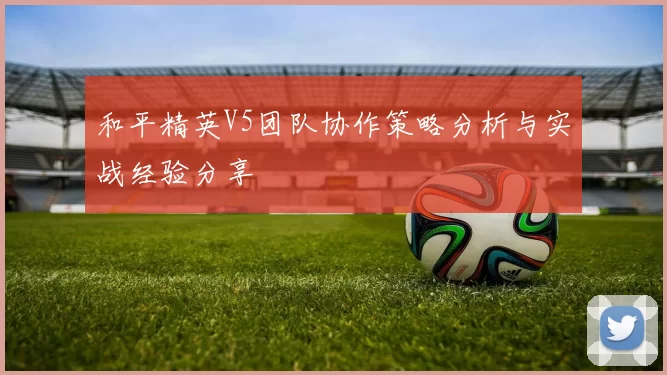和平精英V5团队协作策略分析与实战经验分享