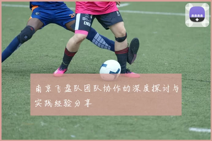 南京飞盘队团队协作的深度探讨与实践经验分享