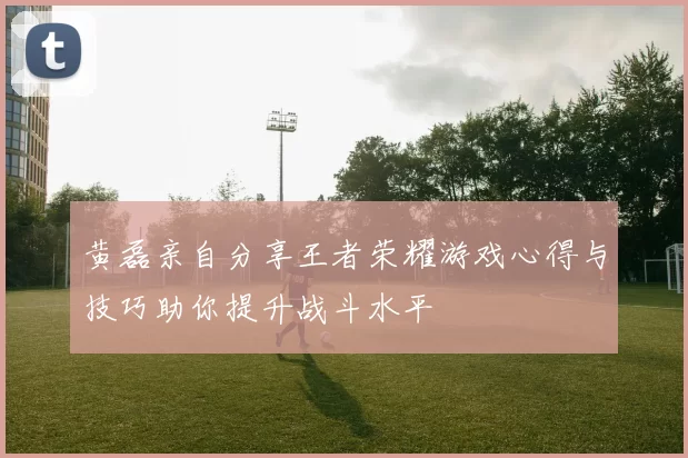 黄磊亲自分享王者荣耀游戏心得与技巧助你提升战斗水平
