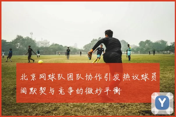北京网球队团队协作引发热议球员间默契与竞争的微妙平衡