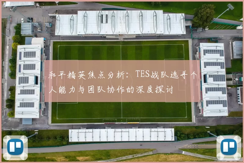 和平精英焦点分析：TES战队选手个人能力与团队协作的深度探讨