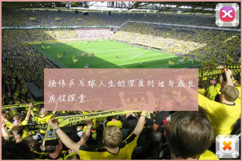 杨伟乒乓球人生的深度对话与成长历程探索