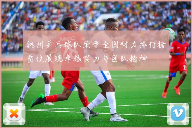 杭州乒乓球队荣登全国耐力排行榜首位展现卓越实力与团队精神