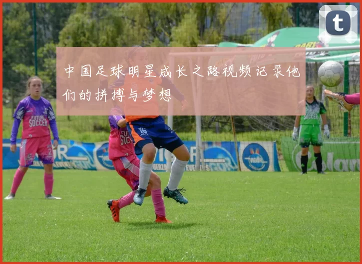 中国足球明星成长之路视频记录他们的拼搏与梦想