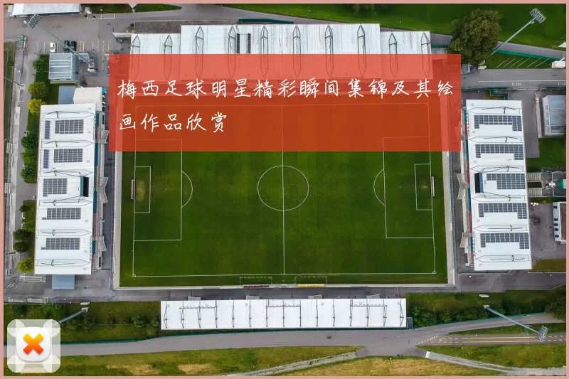 梅西足球明星精彩瞬间集锦及其绘画作品欣赏