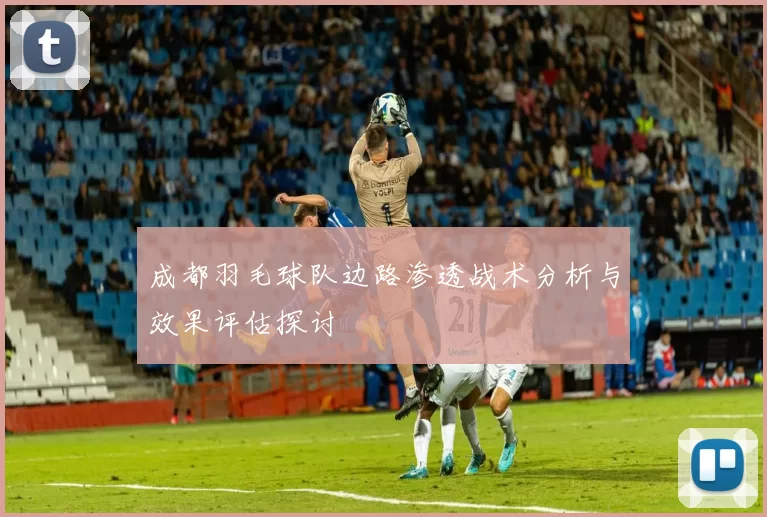 成都羽毛球队边路渗透战术分析与效果评估探讨