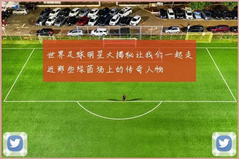 世界足球明星大揭秘让我们一起走近那些绿茵场上的传奇人物