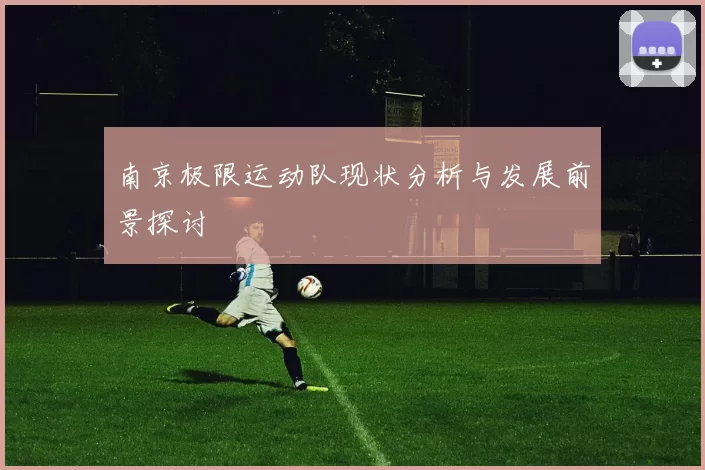 南京极限运动队现状分析与发展前景探讨