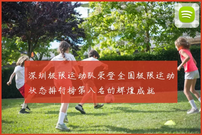 深圳极限运动队荣登全国极限运动状态排行榜第八名的辉煌成就
