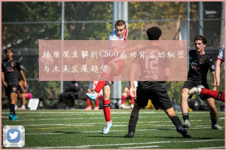 杨丽深度解析CSGO成功背后的秘密与未来发展趋势