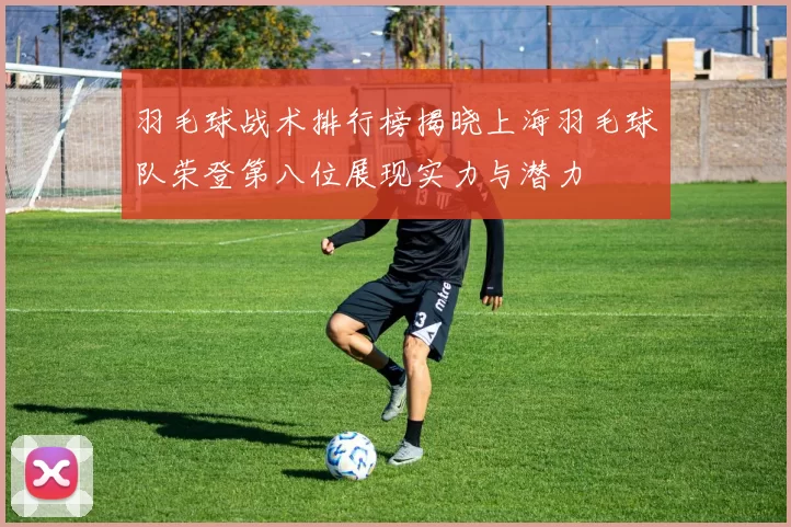 羽毛球战术排行榜揭晓上海羽毛球队荣登第八位展现实力与潜力