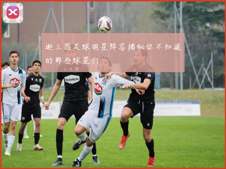 逛三园足球明星阵容揭秘你不知道的那些球星们