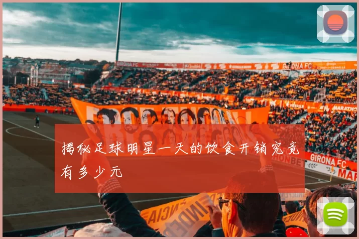 揭秘足球明星一天的饮食开销究竟有多少元