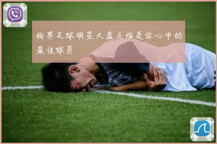 狗界足球明星大盘点谁是你心中的最佳球员